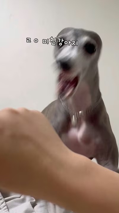 psMaGC