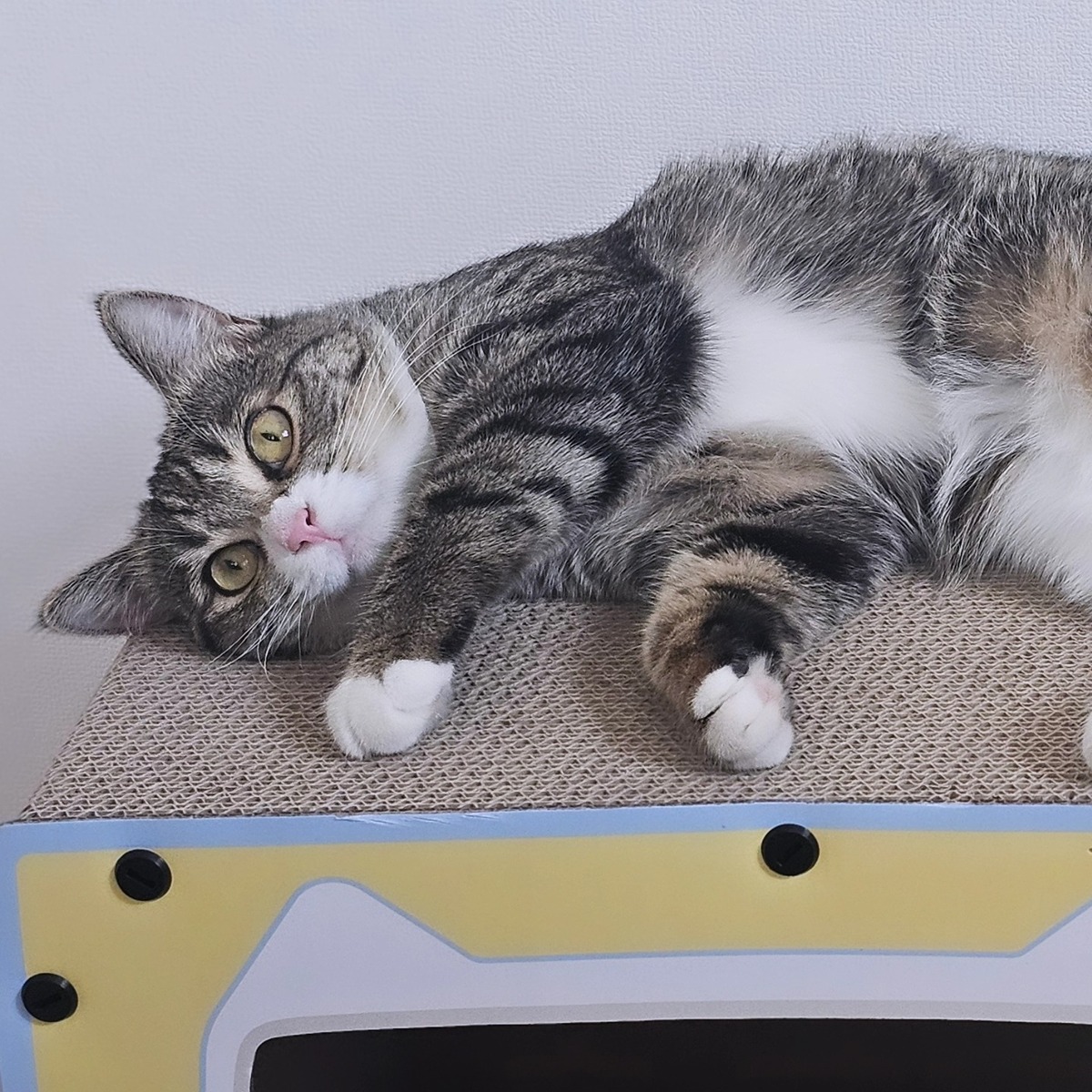 psPHFX
