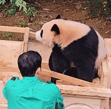 ptqEKg.gif