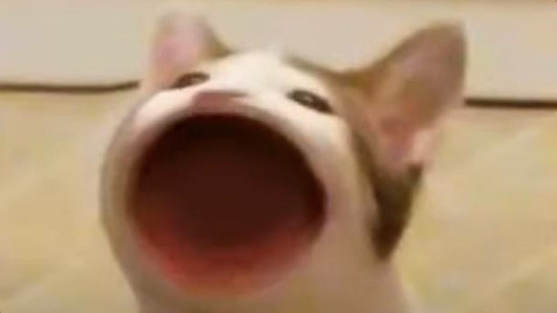 puTTum