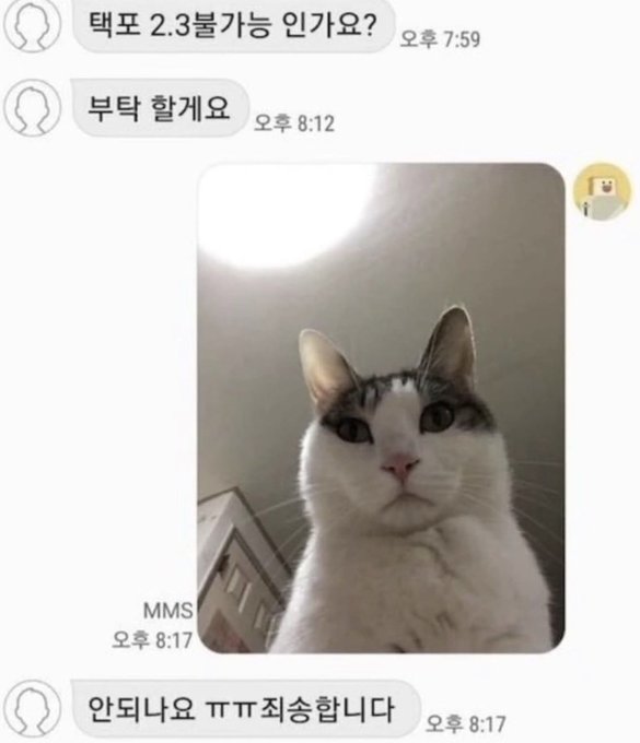 pvsFXT