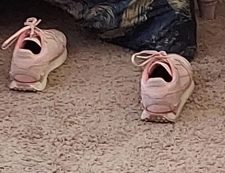 pwWRCz