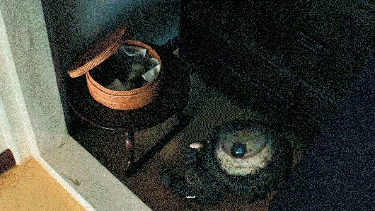 pxXmVj.gif
