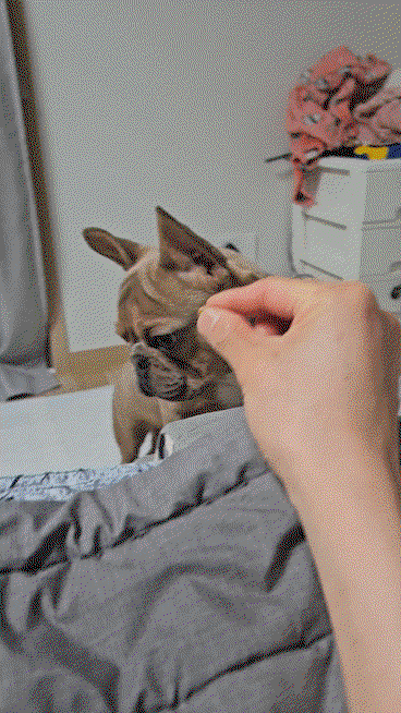 qAAGnw.gif