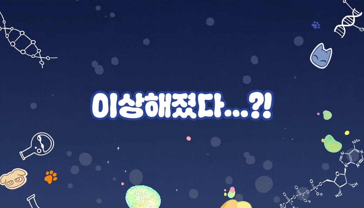 qBfpKT
