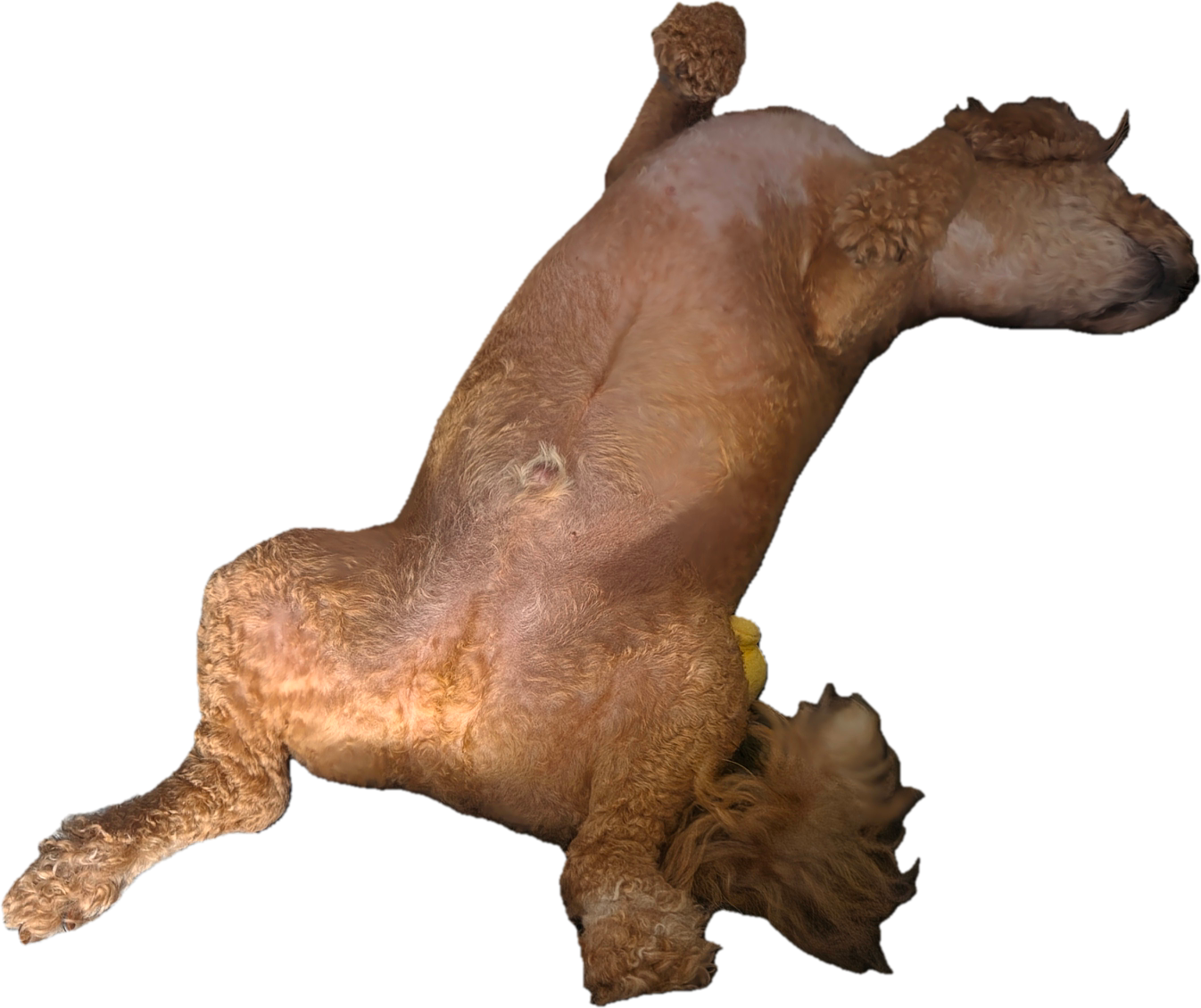 qBkLnK