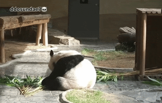 qBtukw.gif