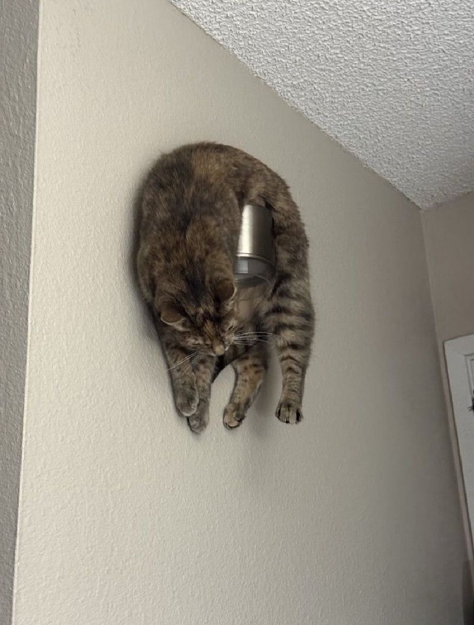 qFUClY