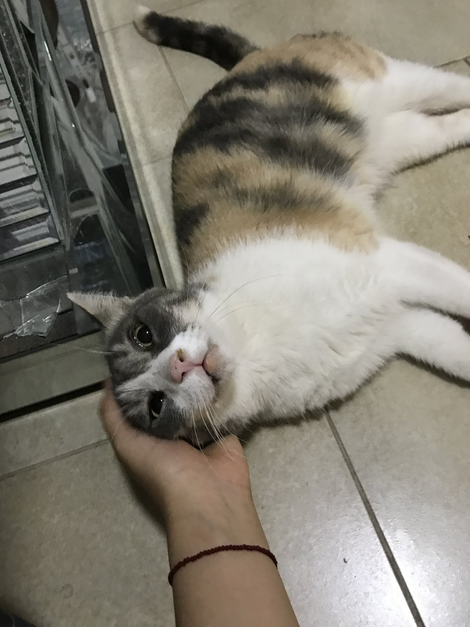 qFhWmi