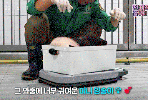 qFzKWI.gif