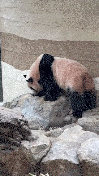 qHXpnl.gif
