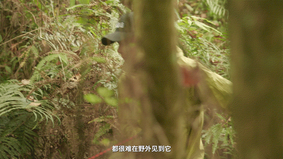 qIGYdo.gif