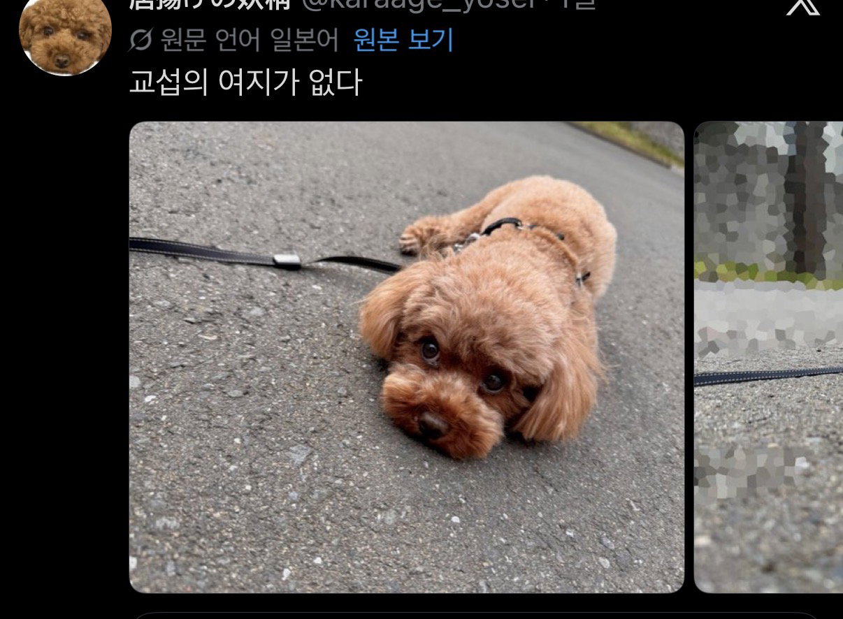 qITQdQ