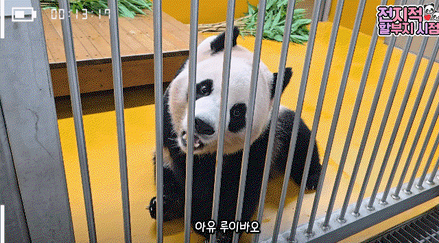 qIcvUB.gif