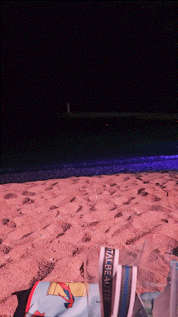 qIoTeE.gif