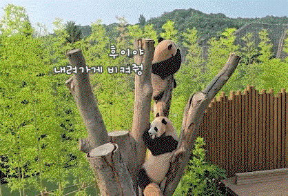 qLDQXZ.gif