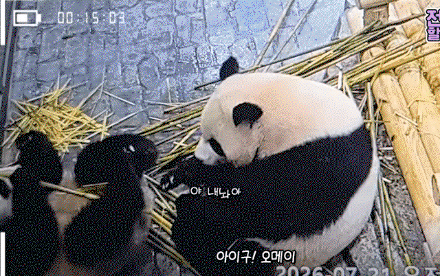 qLjSyz.gif