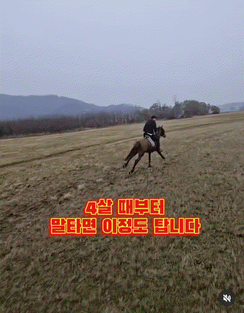 qOIhFE.gif