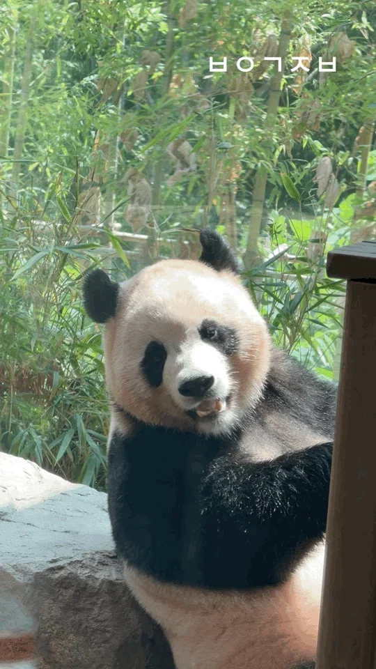 qOWVuR