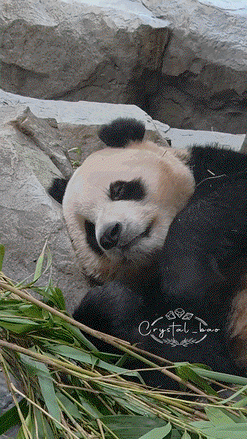 qPyXia.gif