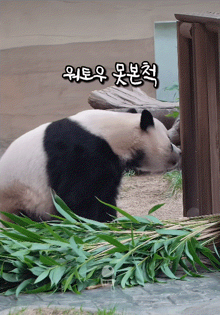 qRjsZJ.gif