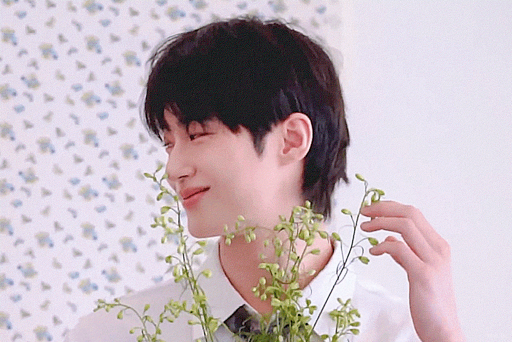 qXOUDL.gif