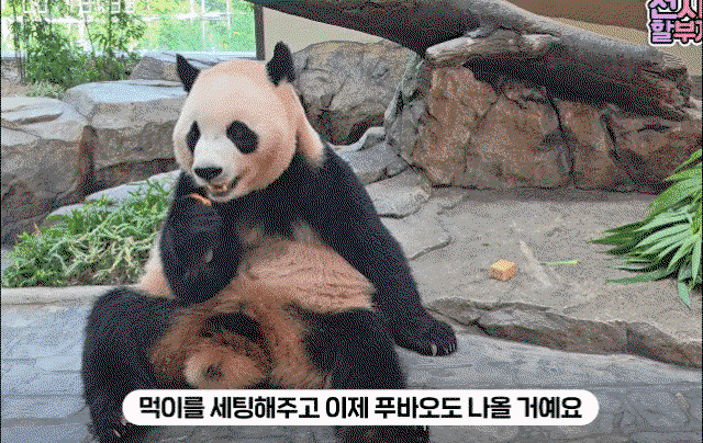 qXSqJl.gif