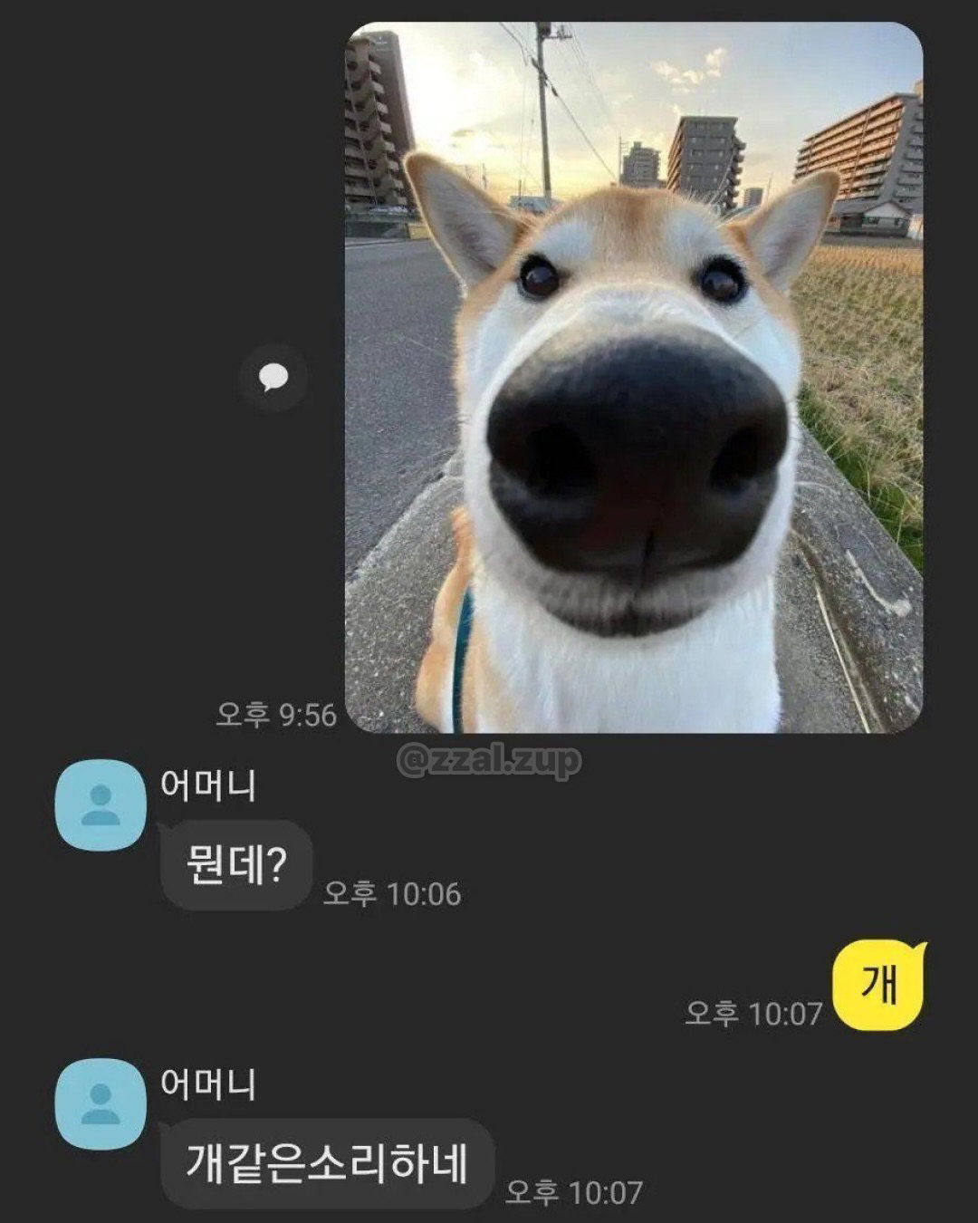qXgApT
