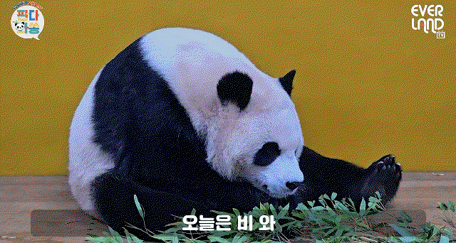 qaClXj.gif
