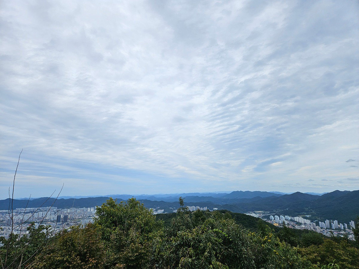 qaesEI