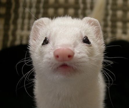 qbCvtQ