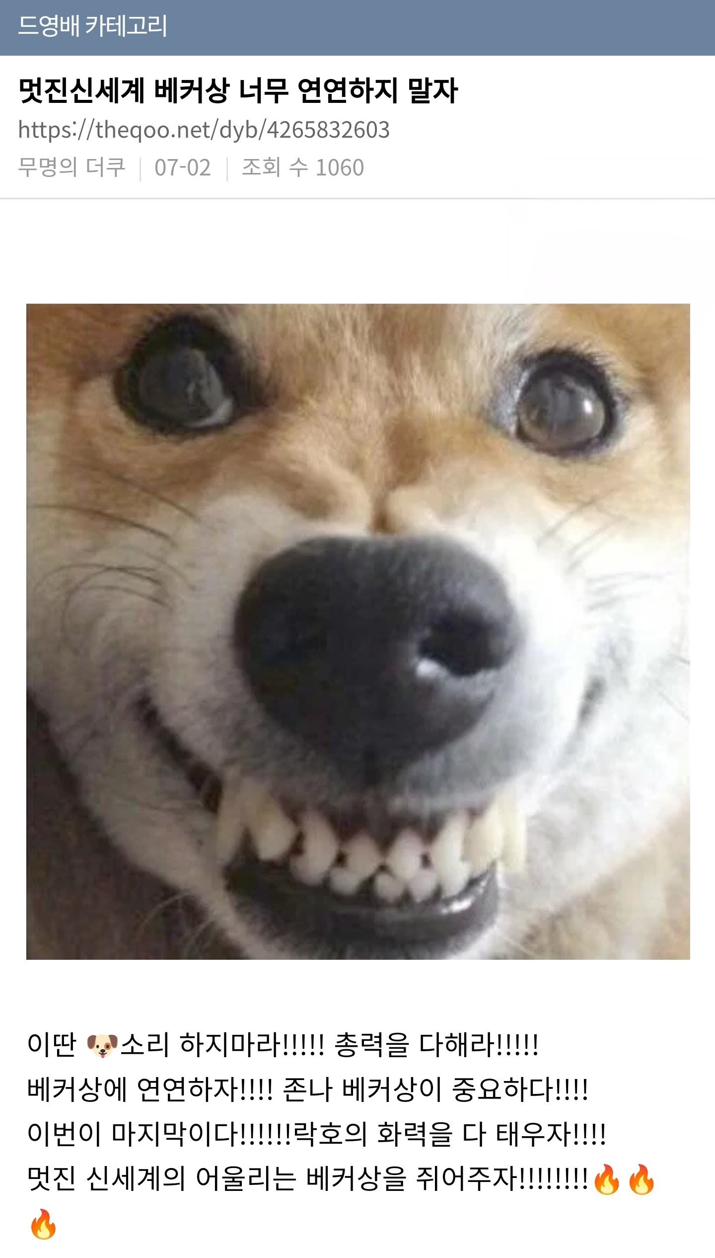 qbGDZt