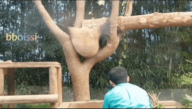 qbanTb.gif