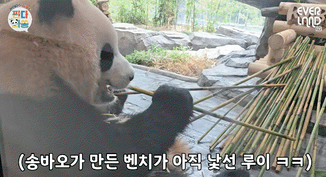 qcTyuP.gif