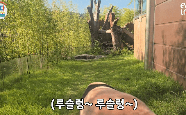 qdJgCO.gif