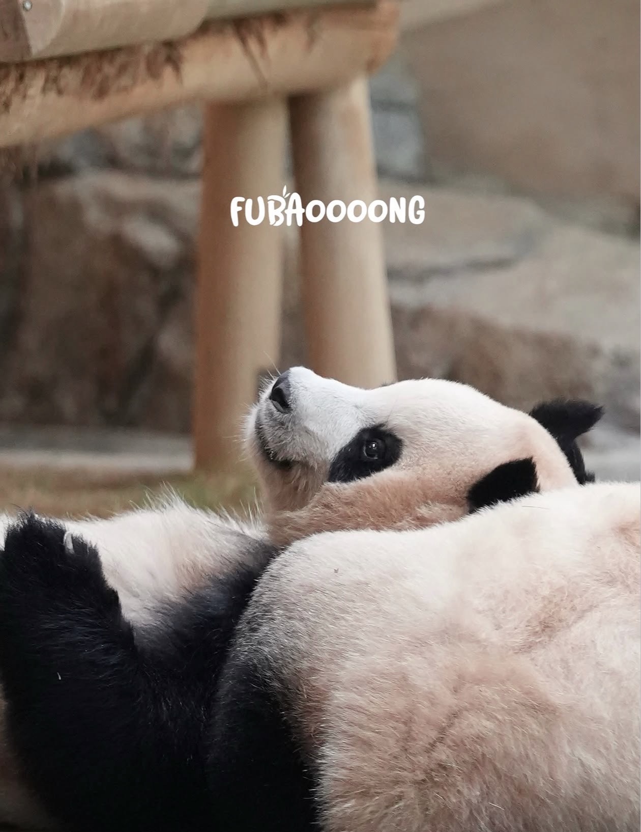 qfILwG