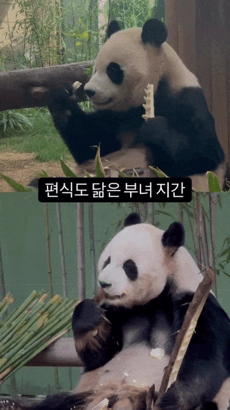 qfISlt.gif