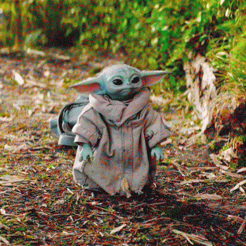 qlNDVN.gif