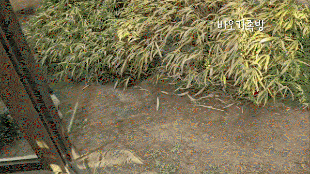 qlhwBX.gif