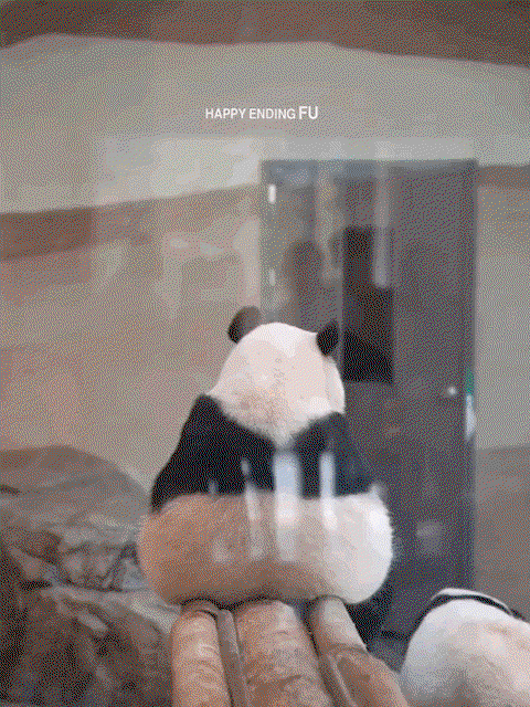 qpvtlT.gif