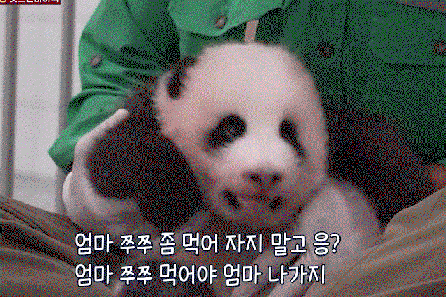 qqeXbN.gif