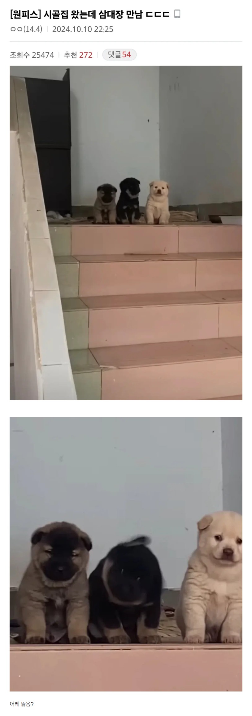 qtYDyj