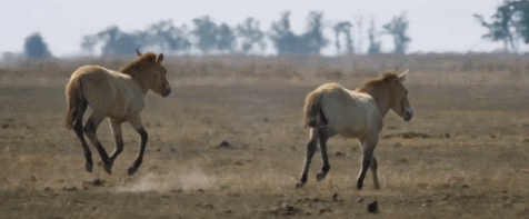 qtoVIW.gif