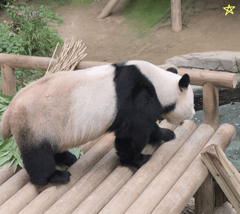 qttCIb.gif