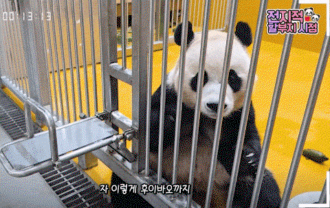 quDBYx.gif