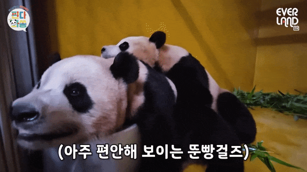 qvLznq.gif