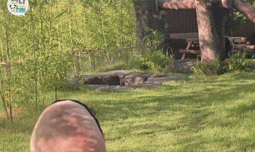 rAboXK.gif