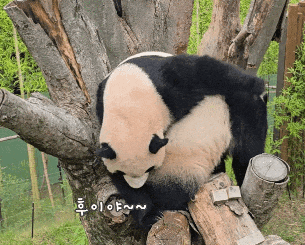 rBBgyU.gif