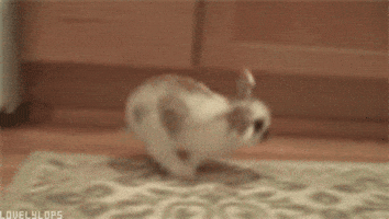 rBrZJR.gif