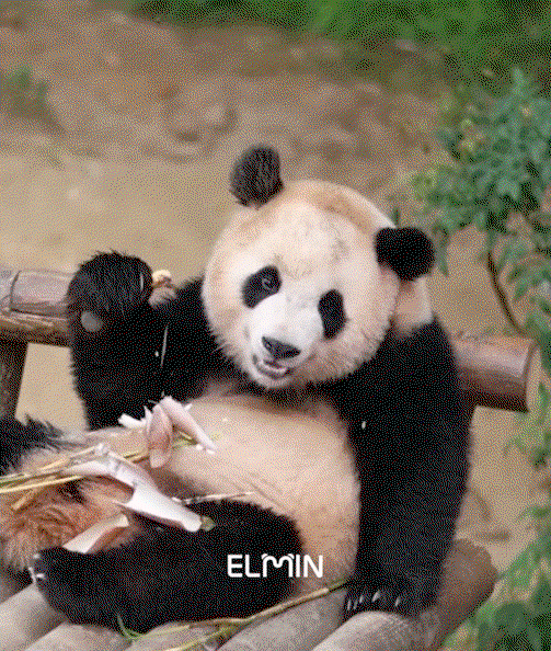 rFalEj.gif